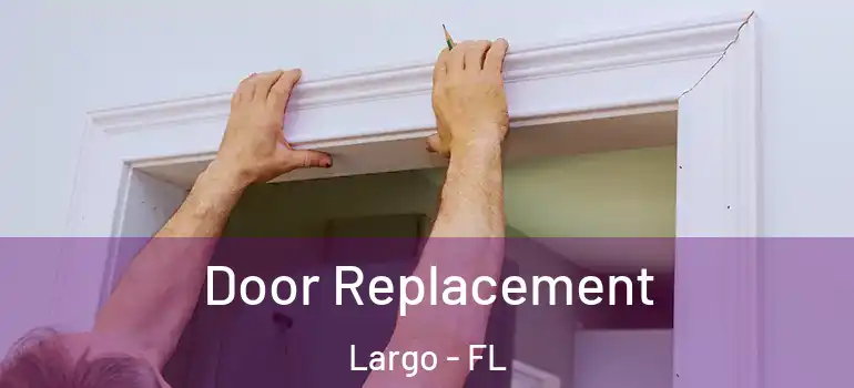  Door Replacement Largo - FL