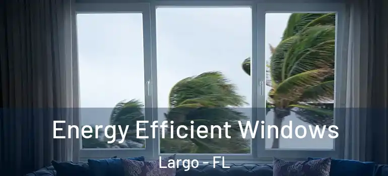  Energy Efficient Windows Largo - FL