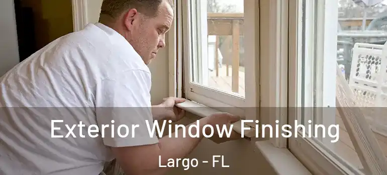  Exterior Window Finishing Largo - FL