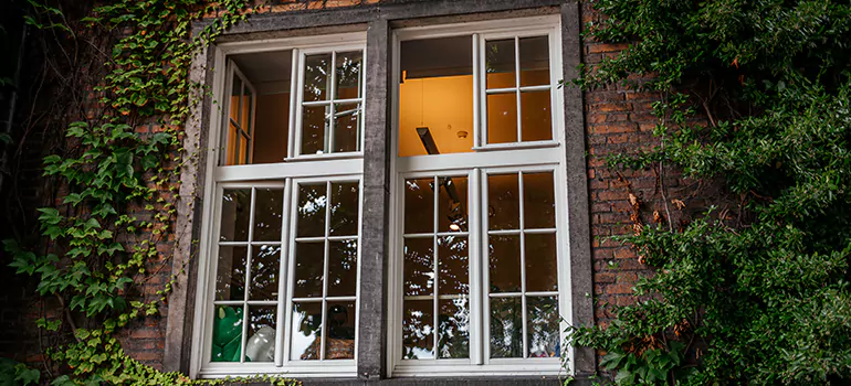 Energy Efficient Wood Windows in Largo, FL
