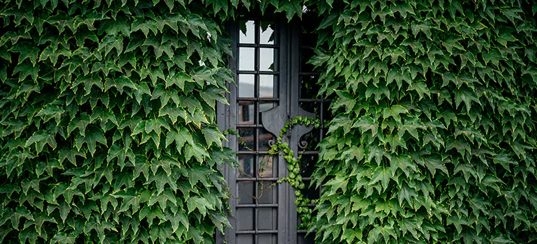 Garden Gate Repair in Largo, FL