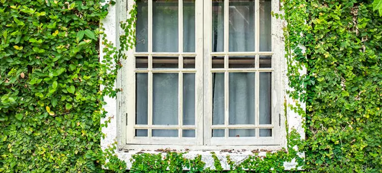 Garden Window Repair Near Me in Largo, FL
