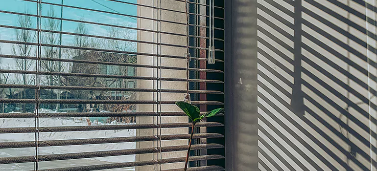 Commercial Window Blinds in Largo, FL