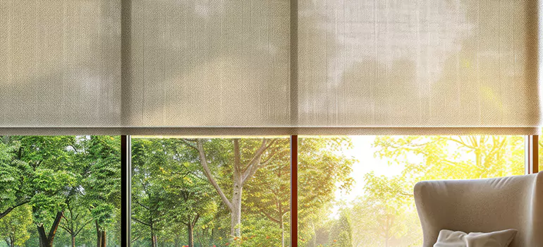 Custom Window Shades in Largo, FL