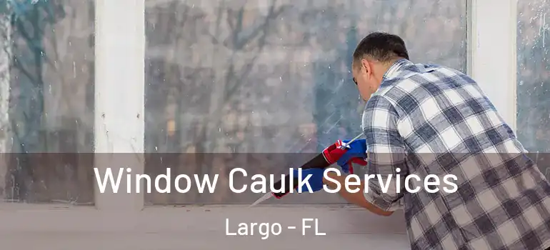  Window Caulk Services Largo - FL