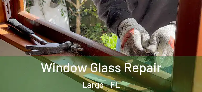  Window Glass Repair Largo - FL