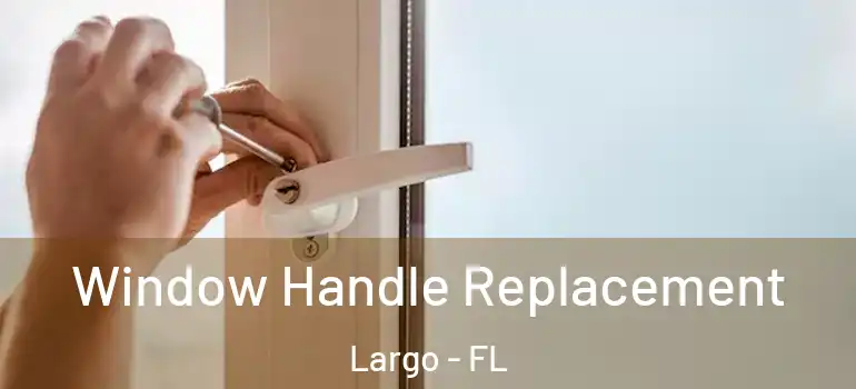  Window Handle Replacement Largo - FL