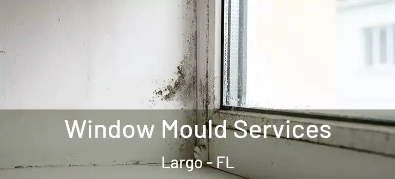  Window Mould Services Largo - FL